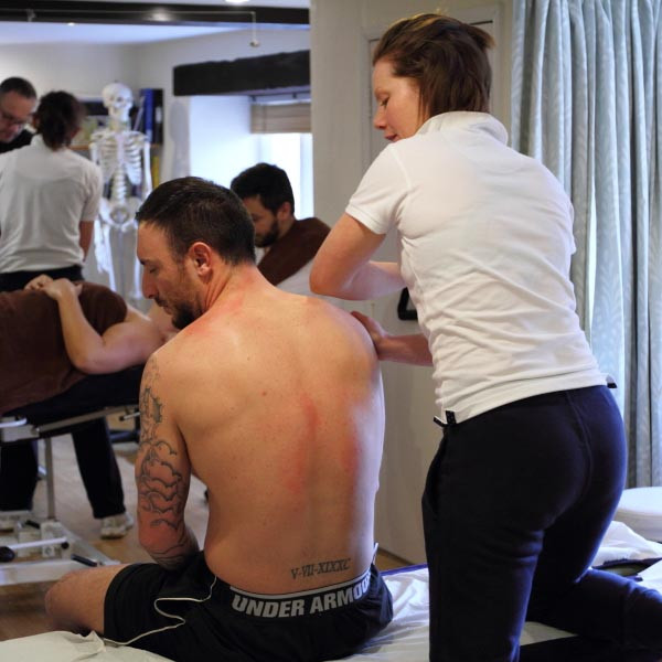 Level 3 Sports Massage Courses at the Cotswold Academy